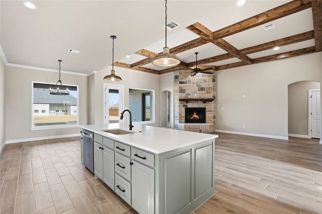 1101 Tremont Lane, Granbury, TX 76049