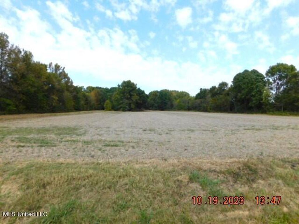 0000 Dean Road, Nesbit, MS 38651 — photo 2