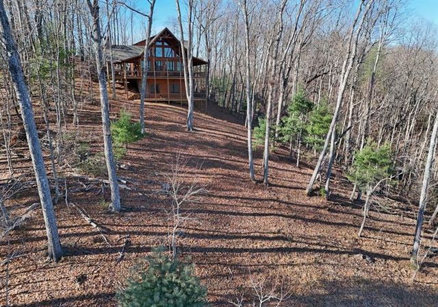 731 Native Trail, Blue Ridge, GA 30513