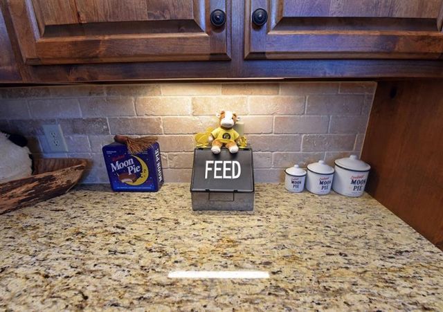 731 Native Trail, Blue Ridge, GA 30513