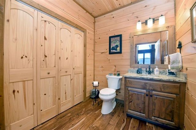 731 Native Trail, Blue Ridge, GA 30513