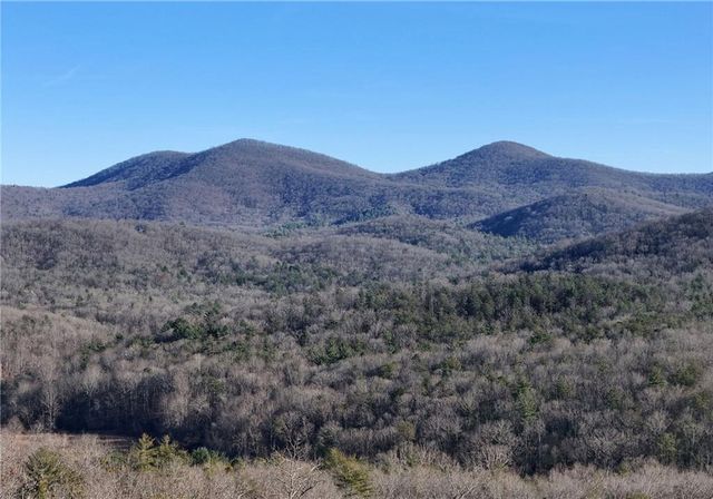 731 Native Trail, Blue Ridge, GA 30513