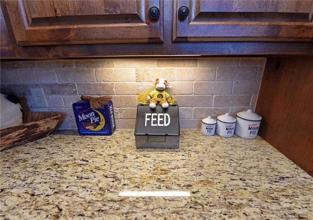 731 Native Trail, Blue Ridge, GA 30513