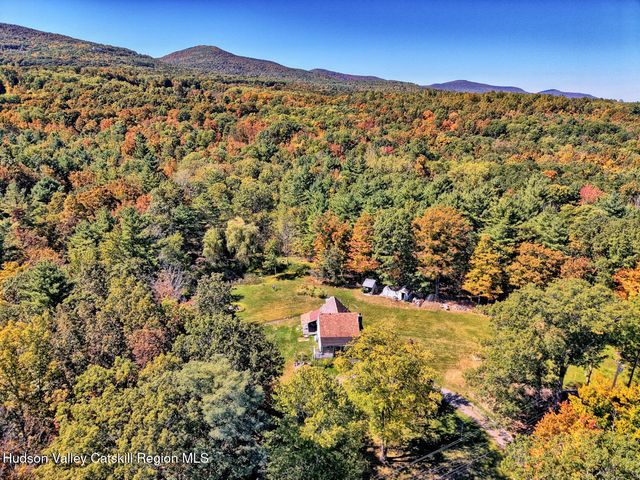 457 Hervey Street Road Road, Cornwallville, NY 12418