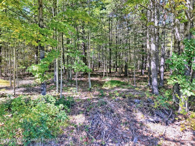 457 Hervey Street Road Road, Cornwallville, NY 12418