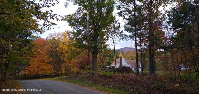 457 Hervey Street Road Road, Cornwallville, NY 12418