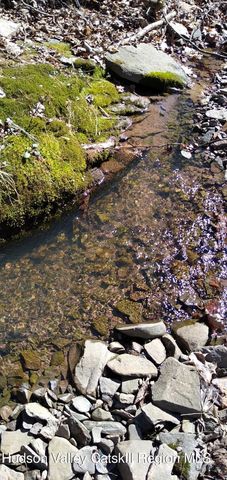 457 Hervey Street Road Road, Cornwallville, NY 12418