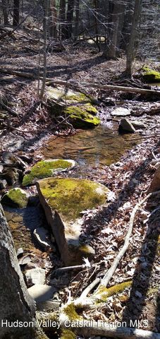 457 Hervey Street Road Road, Cornwallville, NY 12418