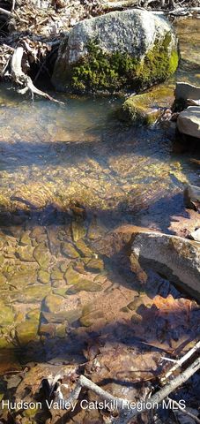 457 Hervey Street Road Road, Cornwallville, NY 12418