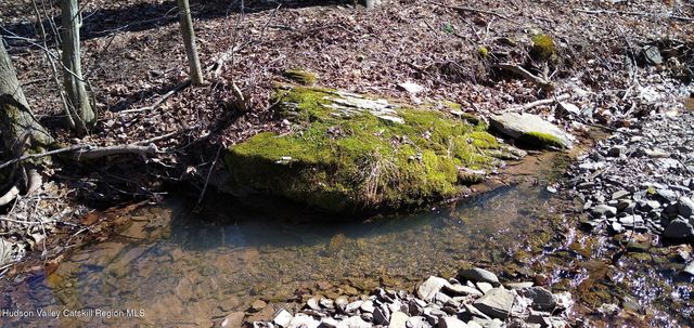 457 Hervey Street Road Road, Cornwallville, NY 12418