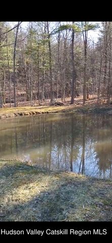 457 Hervey Street Road Road, Cornwallville, NY 12418