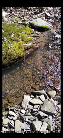 457 Hervey Street Road Road, Cornwallville, NY 12418