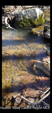 457 Hervey Street Road Road, Cornwallville, NY 12418