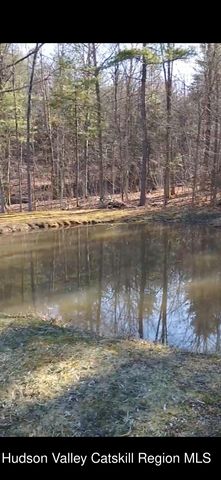 457 Hervey Street Road Road, Cornwallville, NY 12418