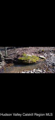 457 Hervey Street Road Road, Cornwallville, NY 12418