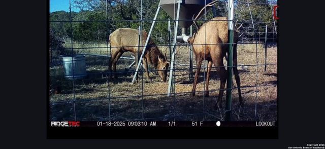 LOT 22 Wild Canyon Ranch, Rocksprings, TX 78880