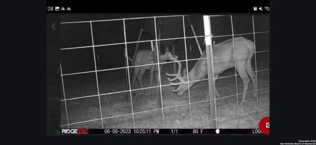 LOT 22 Wild Canyon Ranch, Rocksprings, TX 78880