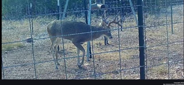 LOT 22 Wild Canyon Ranch, Rocksprings, TX 78880