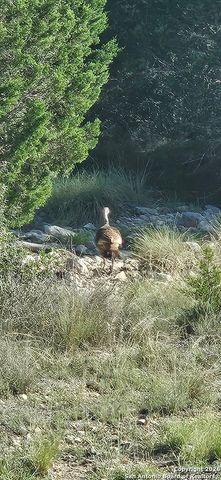 LOT 22 Wild Canyon Ranch, Rocksprings, TX 78880