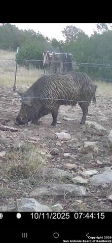 LOT 22 Wild Canyon Ranch, Rocksprings, TX 78880