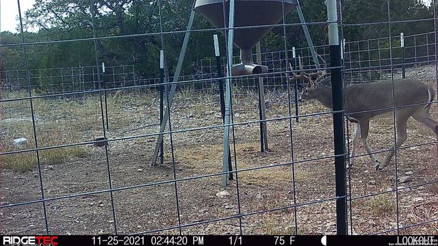 LOT 22 Wild Canyon Ranch, Rocksprings, TX 78880