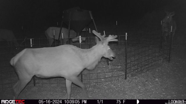 LOT 22 Wild Canyon Ranch, Rocksprings, TX 78880