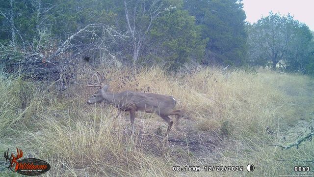 LOT 22 Wild Canyon Ranch, Rocksprings, TX 78880