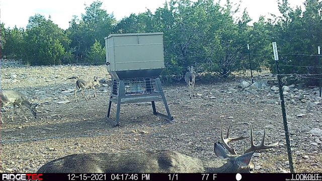 LOT 22 Wild Canyon Ranch, Rocksprings, TX 78880