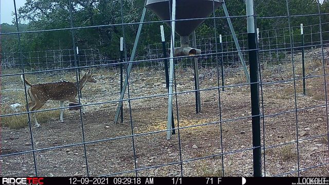 LOT 22 Wild Canyon Ranch, Rocksprings, TX 78880