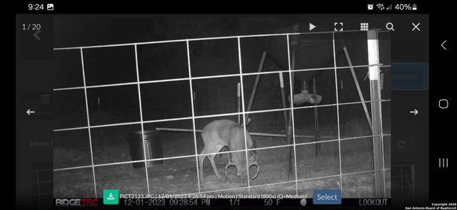 LOT 22 Wild Canyon Ranch, Rocksprings, TX 78880