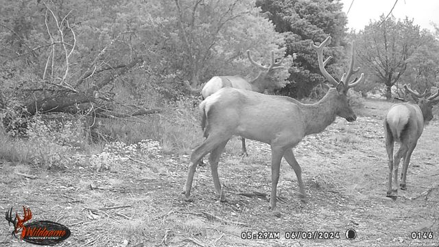 LOT 22 Wild Canyon Ranch, Rocksprings, TX 78880