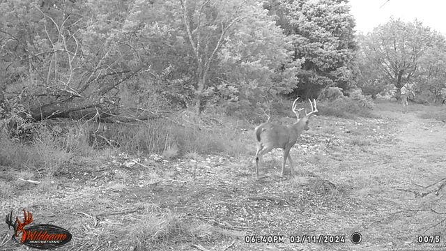 LOT 22 Wild Canyon Ranch, Rocksprings, TX 78880