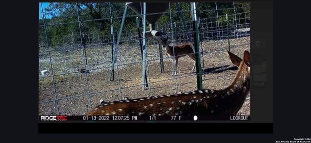 LOT 22 Wild Canyon Ranch, Rocksprings, TX 78880