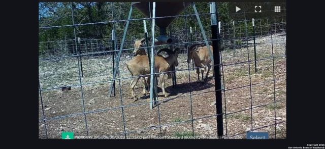 LOT 22 Wild Canyon Ranch, Rocksprings, TX 78880