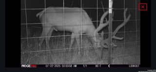 LOT 22 Wild Canyon Ranch, Rocksprings, TX 78880