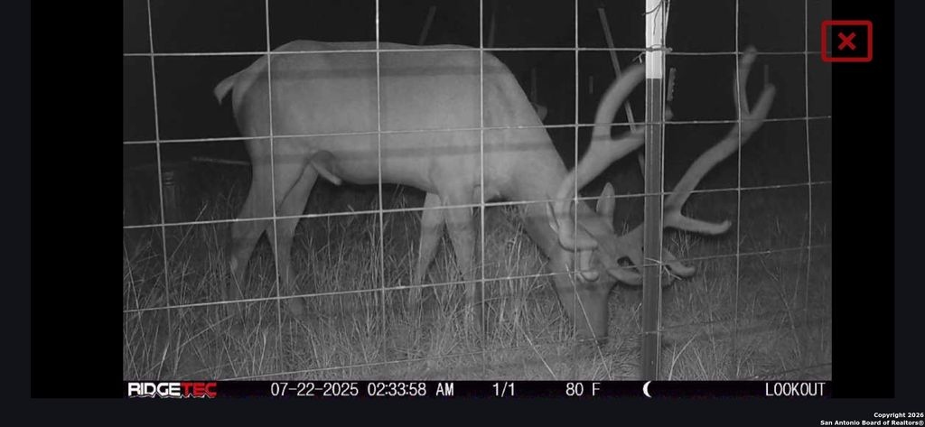 LOT 22 Wild Canyon Ranch, Rocksprings, TX 78880