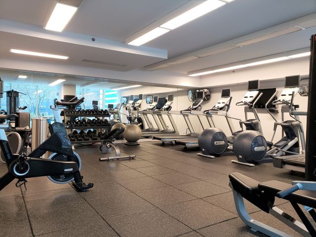 505 N McClurg Court 4606, Chicago, IL 60611