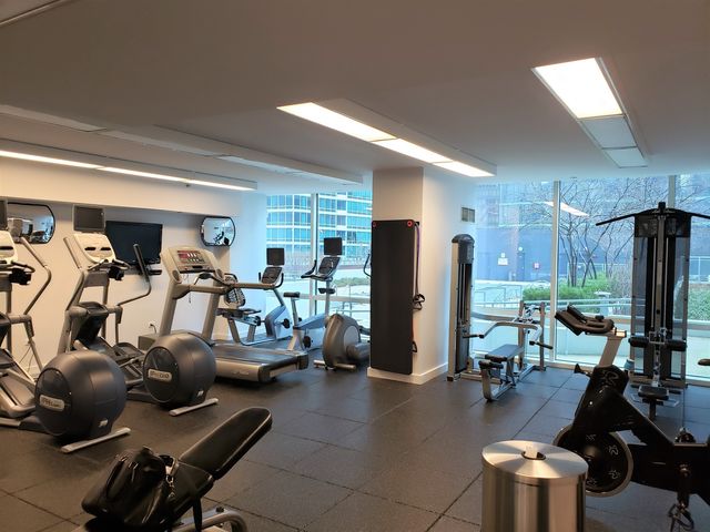 505 N McClurg Court 4606, Chicago, IL 60611