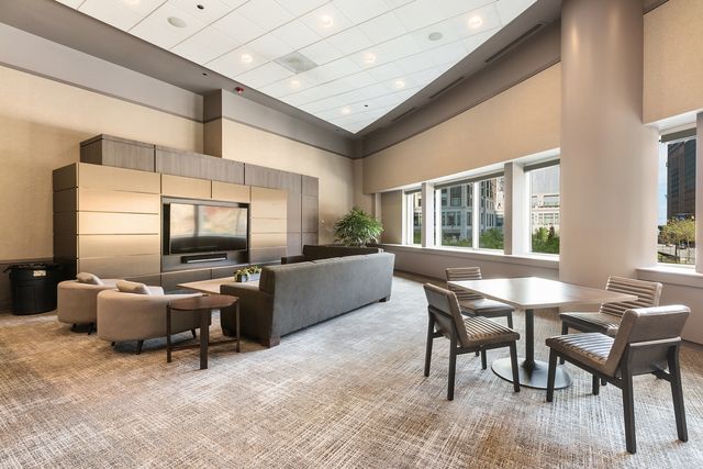 505 N McClurg Court 4606, Chicago, IL 60611