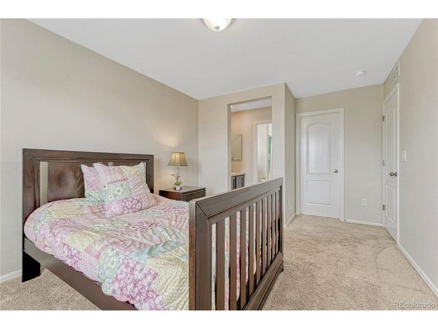 15048 Yellowthroat St, Parker, CO 80134