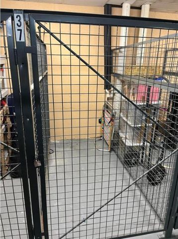 20 Orange Avenue 9, Fort Pierce, FL 34950