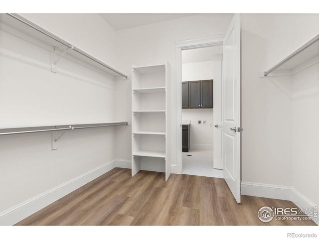 1631 Poplar Drive, Erie, CO 80516