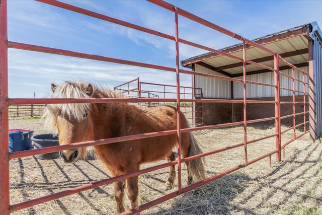 1744 Vz County Road 2303, Canton, TX 75103