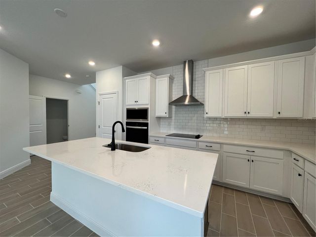 2213 JUNIPER BERRY AVENUE, Minneola, FL 34715