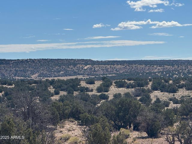Lot 746 Woodland Valley Ranch -- 746, St Johns, AZ 85936