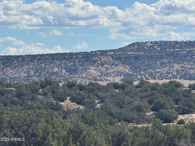 Lot 746 Woodland Valley Ranch -- 746, St Johns, AZ 85936