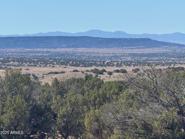 Lot 746 Woodland Valley Ranch -- 746, St Johns, AZ 85936
