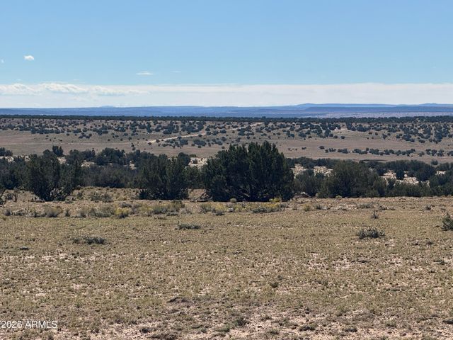 Lot 746 Woodland Valley Ranch -- 746, St Johns, AZ 85936