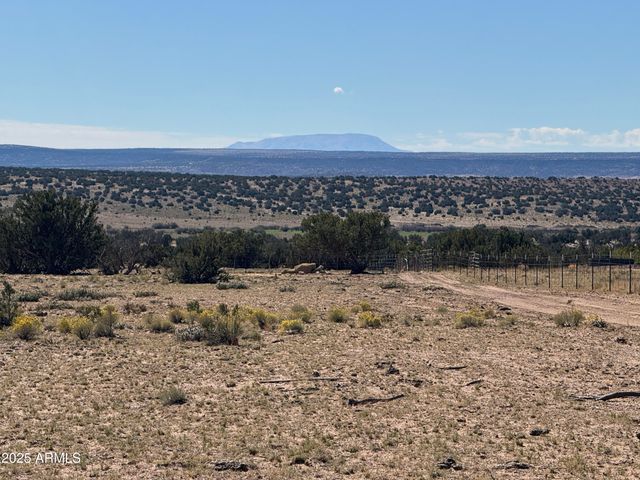 Lot 746 Woodland Valley Ranch -- 746, St Johns, AZ 85936