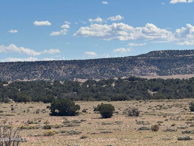 Lot 746 Woodland Valley Ranch -- 746, St Johns, AZ 85936